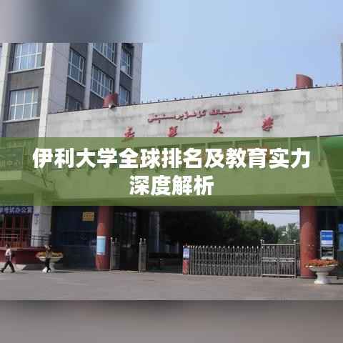 伊利大学全球排名及教育实力深度解析