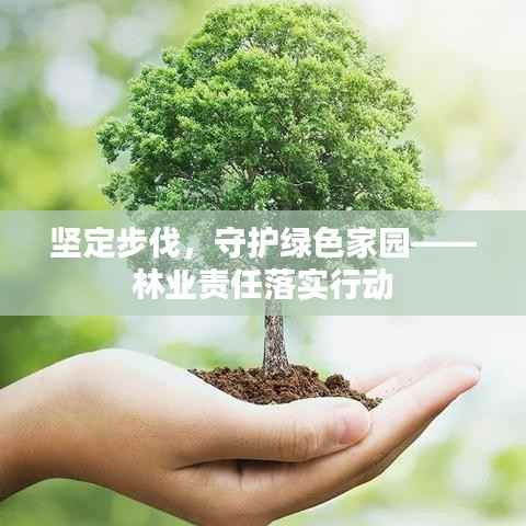 坚定步伐，守护绿色家园——林业责任落实行动