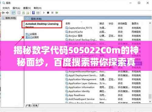 揭秘数字代码505022C0m的神秘面纱,百度搜索带你探索真相!