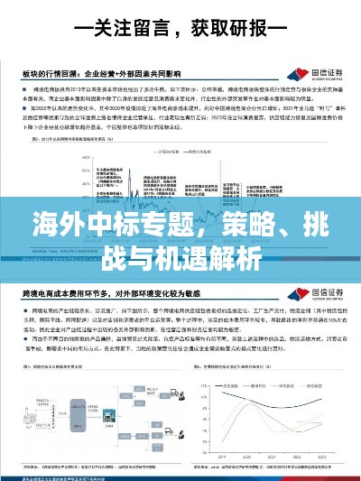 海外中标专题,策略、挑战与机遇解析