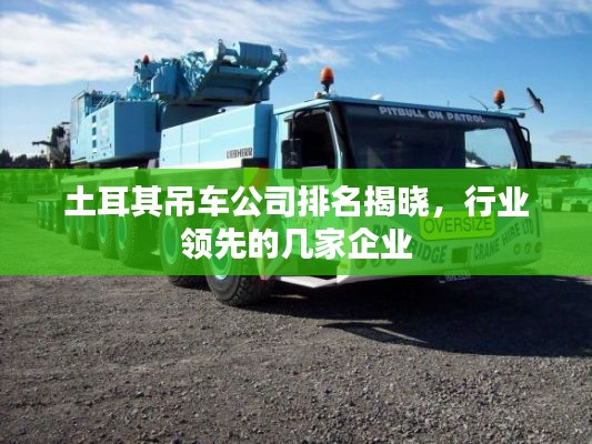 土耳其吊车公司排名揭晓,行业领先的几家企业