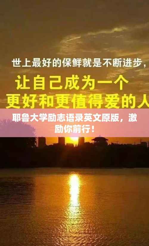 zhengjinweizuo 第6页