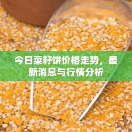 今日菜籽饼价格走势,最新消息与行情分析