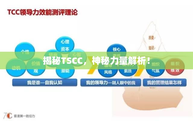 商品分类 第83页