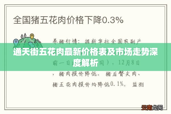 通天街五花肉最新价格表及市场走势深度解析