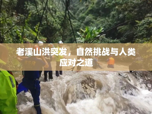 老溪山洪突发,自然挑战与人类应对之道