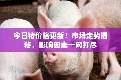 今日猪价格更新!市场走势揭秘,影响因素一网打尽