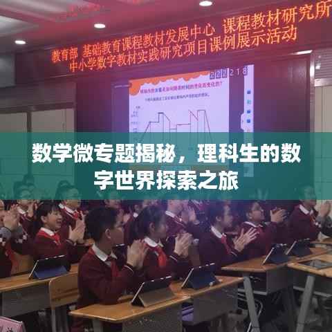 数学微专题揭秘,理科生的数字世界探索之旅