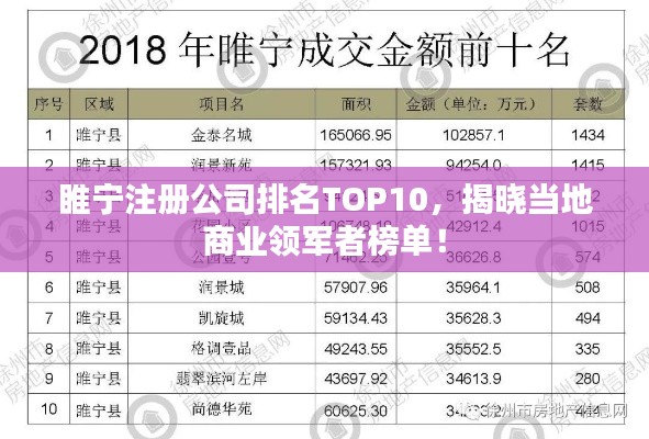 睢宁注册公司排名TOP10,揭晓当地商业领军者榜单!