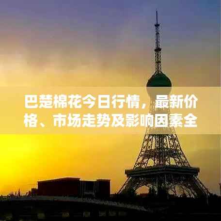 巴楚棉花今日行情，最新价格、市场走势及影响因素全解析
