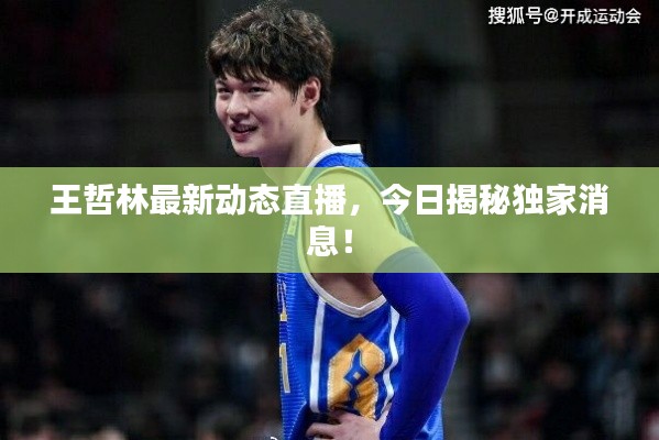 王哲林最新动态直播,今日揭秘独家消息!