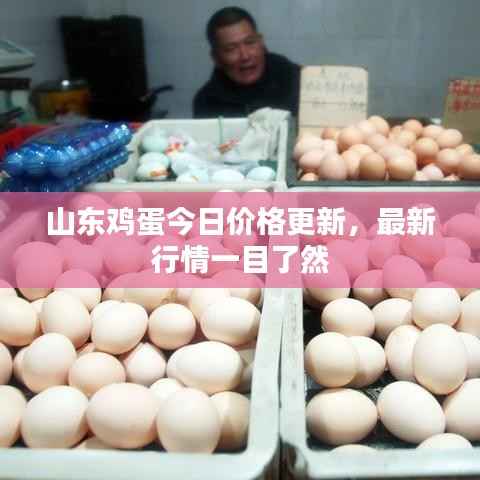 商品分类 第63页