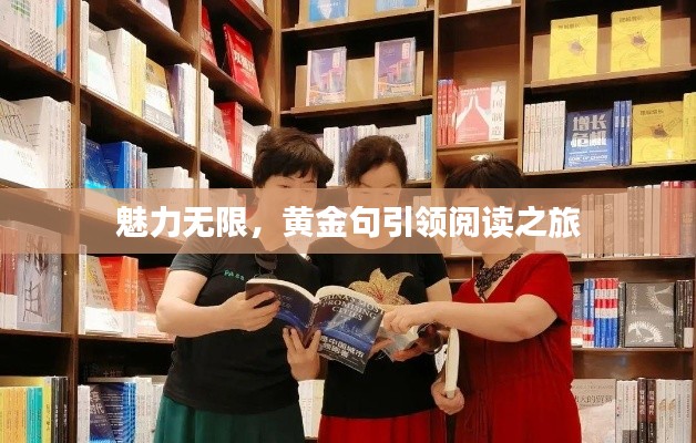 魅力无限,黄金句引领阅读之旅