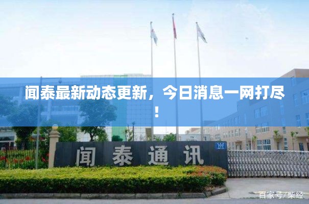 闻泰最新动态更新，今日消息一网打尽！