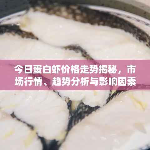 今日蛋白虾价格走势揭秘,市场行情、趋势分析与影响因素探讨