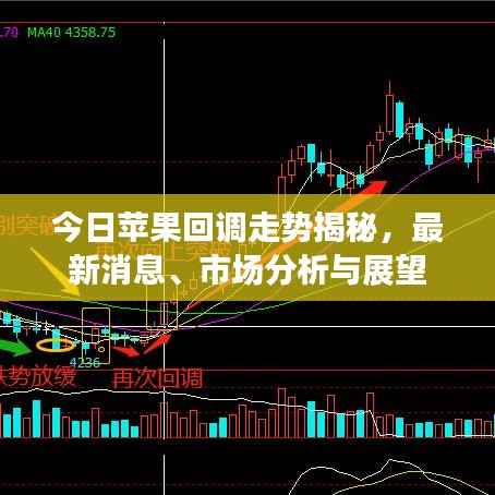 今日苹果回调走势揭秘,最新消息、市场分析与展望